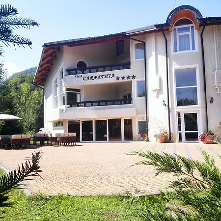 Vila Carpathia Bran  Zewnętrze zdjęcie