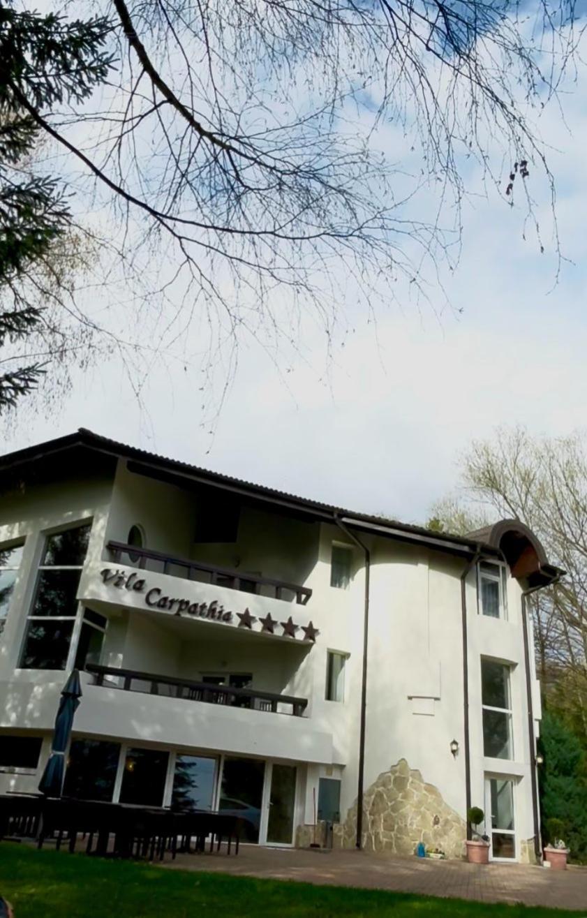 Vila Carpathia Bran  Zewnętrze zdjęcie