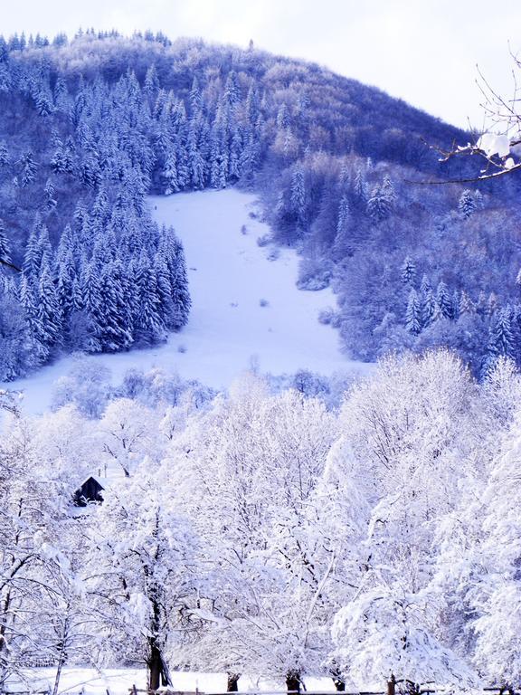 Vila Carpathia Bran  Zewnętrze zdjęcie