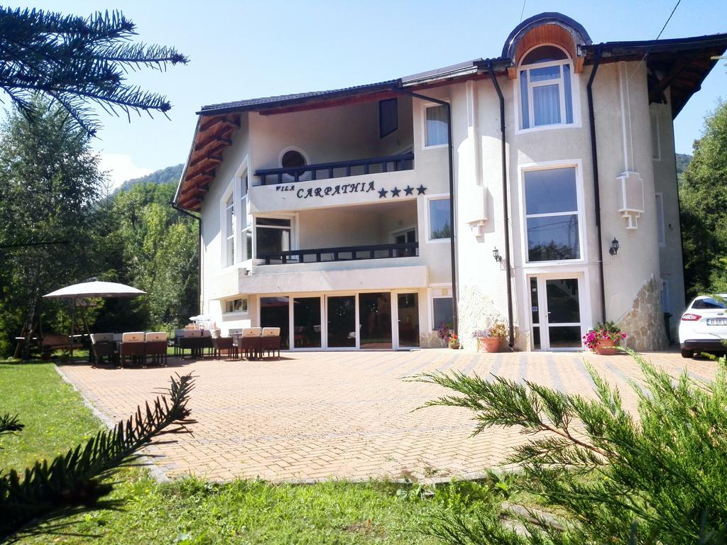 Vila Carpathia Bran  Zewnętrze zdjęcie