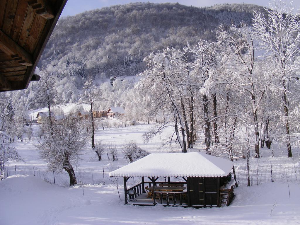 Vila Carpathia Bran  Zewnętrze zdjęcie